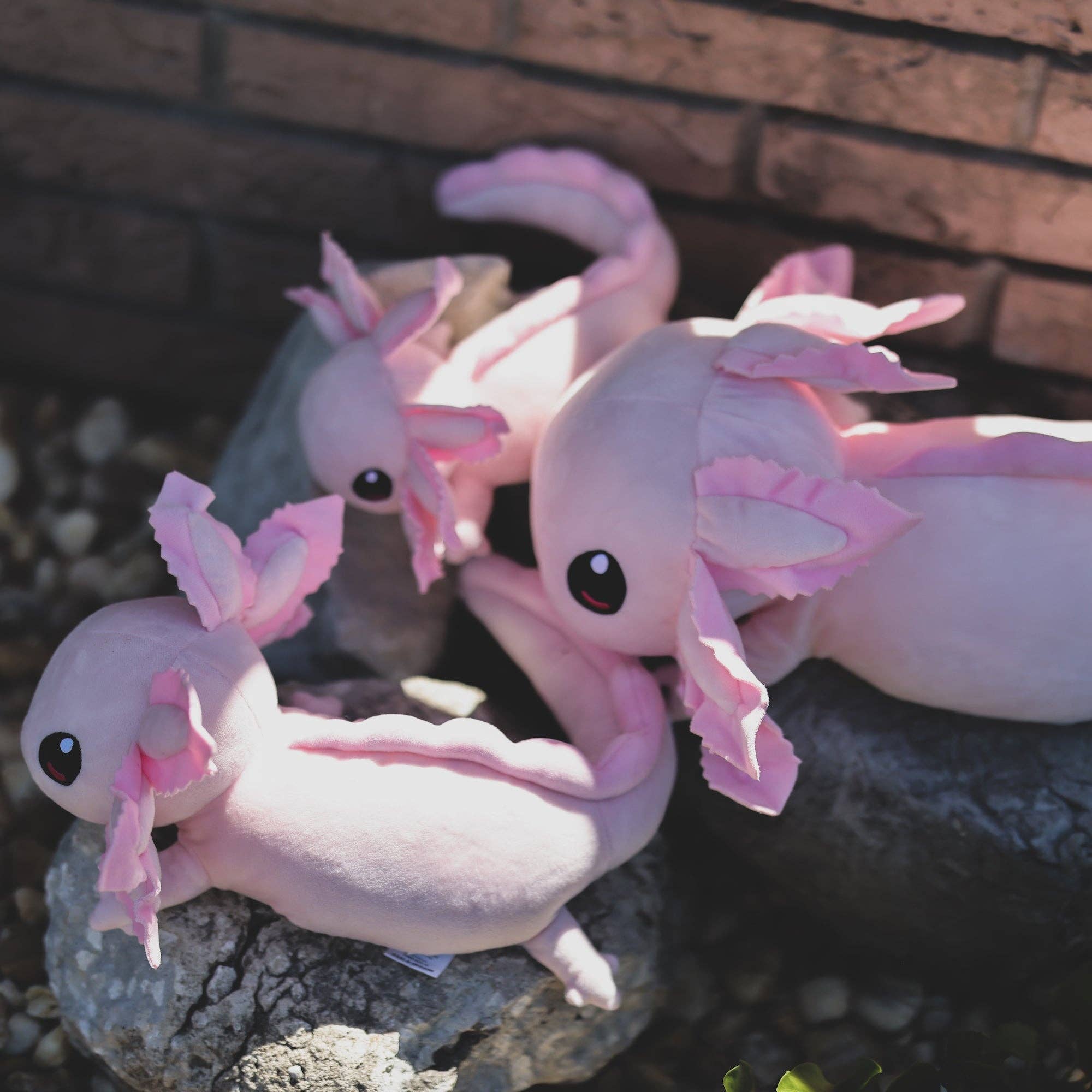Axol Friends 4lb Weighted Realistic Axolotl Plush – LovechildWV